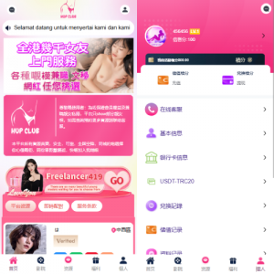 多语言空降刷单彩票系统/空降抢单/同城任务/系统彩